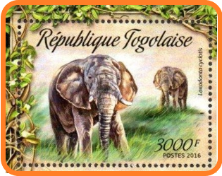 Fauna