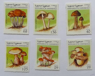 Sestava známek - Saharaui - houby - čisté