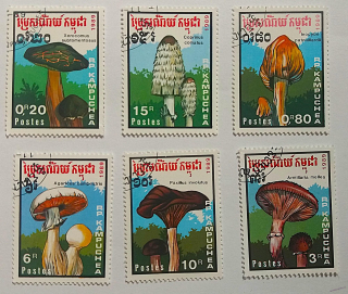 Sestava známek - R.P.Kampuchea - houby