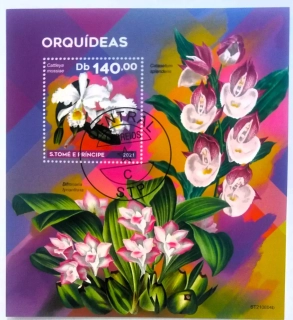 Aršík S.Tomé E Príncipe - orchideje