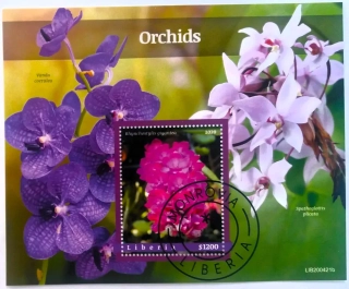 Aršík Liberia - orchideje