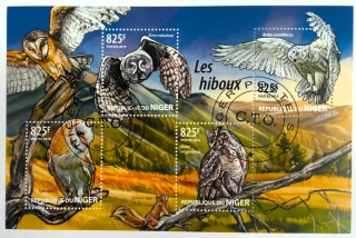 Aršík Niger - sovy