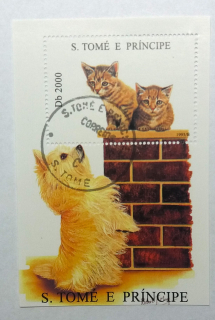 Aršík St. Tomé - kočky, psi