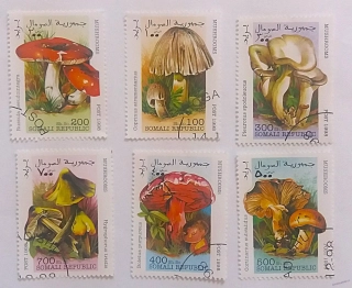 Sestava známek - Somali - houby