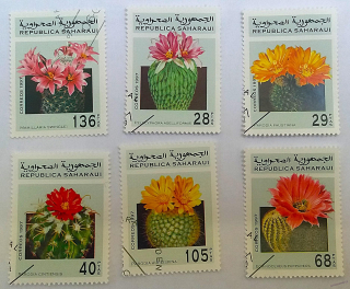 Sestava známek - Saharaui - kaktusy